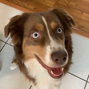 Meet your Posher, Cindy